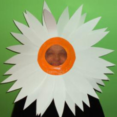 quand la nuit devient jour -alex hitchens