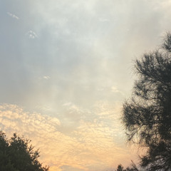 Freeloada - personalised