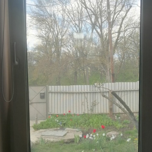 Mein Fenster zur Welt "Schutzmasken trägt nur die