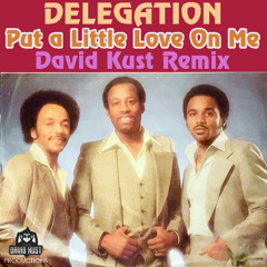 Delegation - Put A Little Love On Me (David Kust Radio Remix)