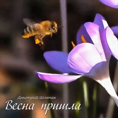 Весна пришла