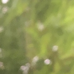 Air Sun Moon (a quick 6-track meditation)