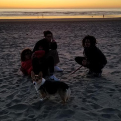 mozza feat jojo the corgi (demo)