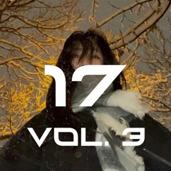 17 vol. 3