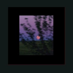 ⸨⸨MOONTRACKS⸩⸩  rare grooves & astral jazz digs