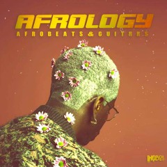 Afrology: Afrobeats & Guitars Demo Preview