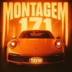 Montagem 171