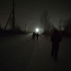 Ебанутый #screamingwoods