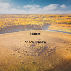 Foolest