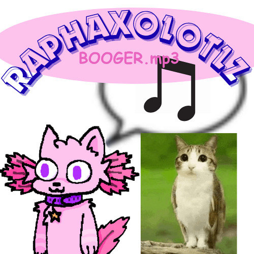 RAPHBOOGER