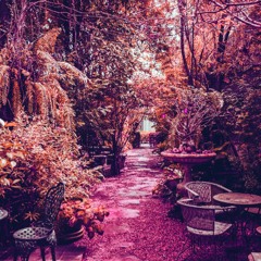 Artistic Backdrops for Totally Dreams