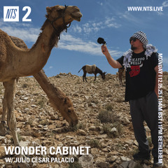 NTS - Wonder Cabinet w/ Julio César Palacio
