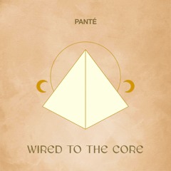 Panté - Wired To The Core