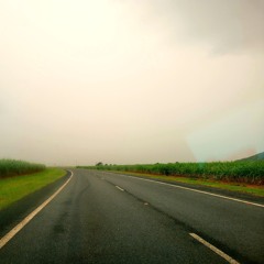 Electric voice 61 (looper) (alt extended ver)