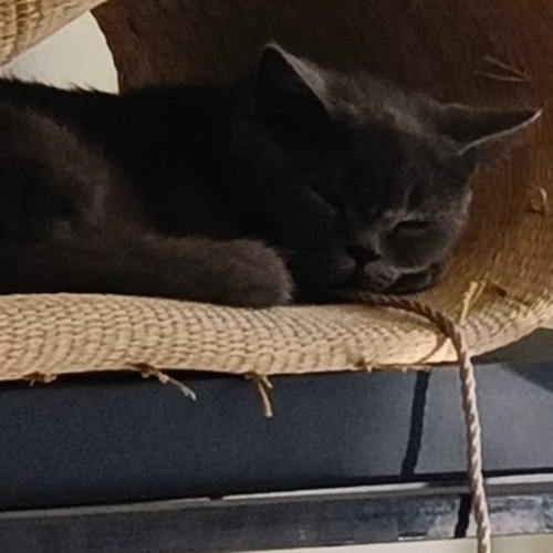 Linh cảm tim em tino remix