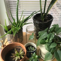 Ain't No Sunshine--- Imani Jade (cover)