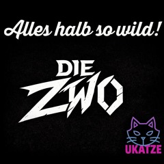 DieZwo Live 29.11.2025 alles halb so wild!