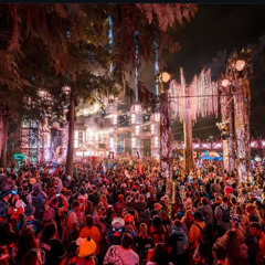 LIVE @ Shambhala 2025: The Village Stage
