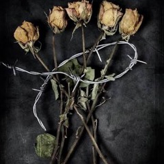 Goodbye, My rose