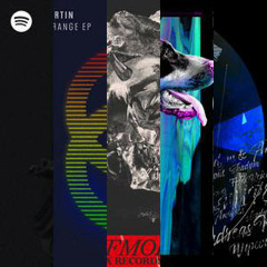 The Pulse of Raw Techno