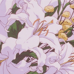Obie - Blossom Dreams