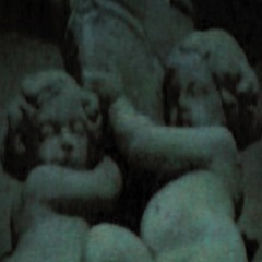 Fever / Vine on the wall