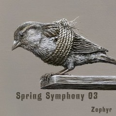 Symphony Spring #3