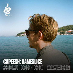 Capeesh: Hamslice - Aaja Channel 1 - 26 04 25