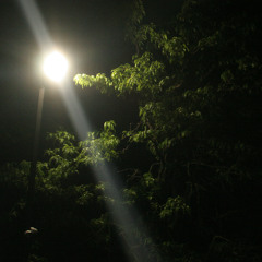 midwxst slide digicore
