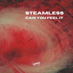 Streamless - Can You Feel It