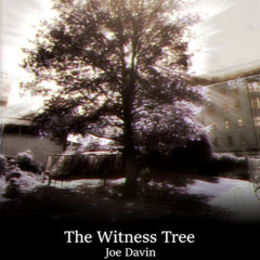 The Witness Tree (Stereo Mix)