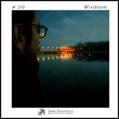 Deep Electronics # 319 - Wixdoom