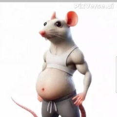 Gustambo Bro Respeta