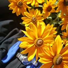 Hat wer 5g?-feat.Servé