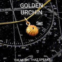 GOLDEN URCHIN - SET REC-2025-11-09
