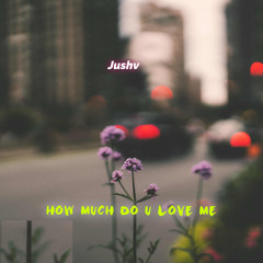 HOW MUCH DO YOU LOVE ME
