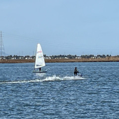 Dealing with Disruptions