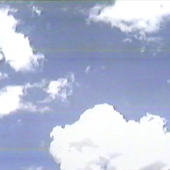 12. Sonhumcomb