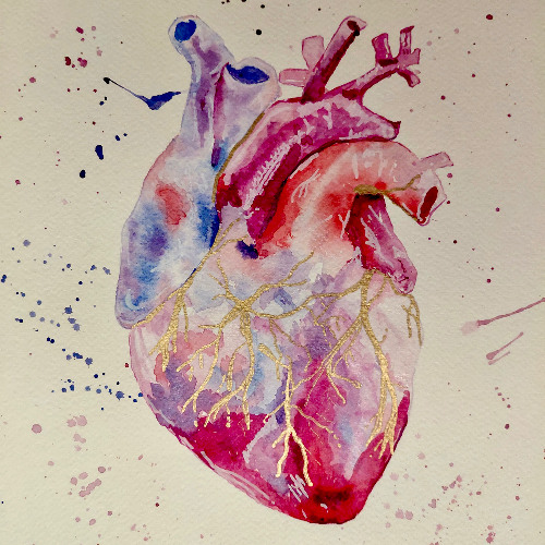 Anatomy of the Heart
