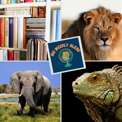 Big Weekly Blend - Lions, Lizards & Elephants, Books & Vinyl