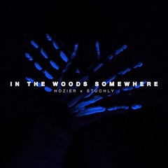 Hozier - In The Woods Somewhere (STUCHLY Remix) [Extended Mix]