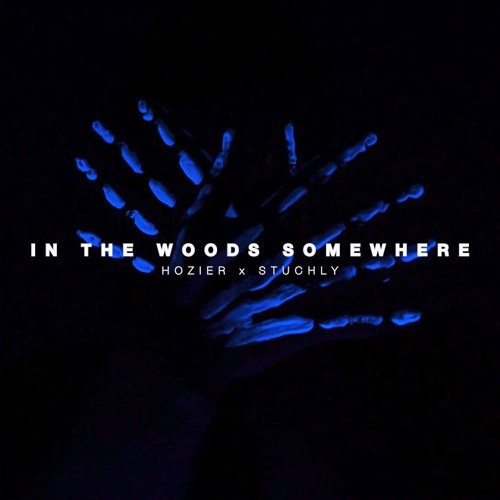 Hozier - In The Woods Somewhere (STUCHLY Remix) [Extended Mix]