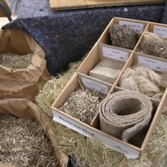 Bauen mit Hanf: Hochschule will höher hinauf