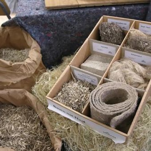 Bauen mit Hanf: Hochschule will höher hinauf