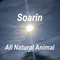 Soarin