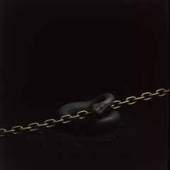 The Chain