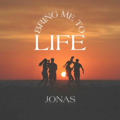 Bring Me To Life (DJ Set)