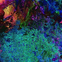 Why, Bees, Why (in The Park By Night Early Demo)