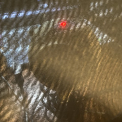 boatwright (lifelessgarments paper cuts remix)