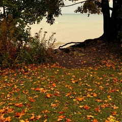 چنان در قید مهرت پایبندم